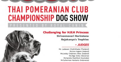 THAI POMERANIAN CLUB CHAMPIONSHIP DOG SHOW